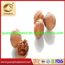 Good Quality and New Crop Walnut in Shell
